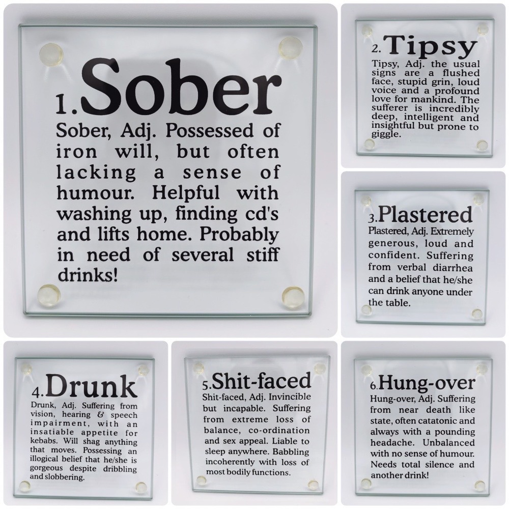 kikkerland Set of 6 Glass‎ Coasters Funny "How Drunk?" Tipsy Definitions Gift